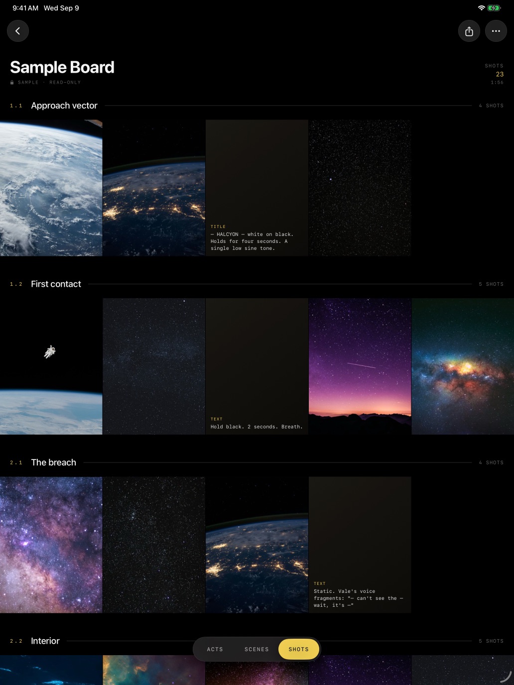A Storyboarder board on iPad: scenes as labelled rows of frames